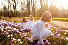 Portrait Photography